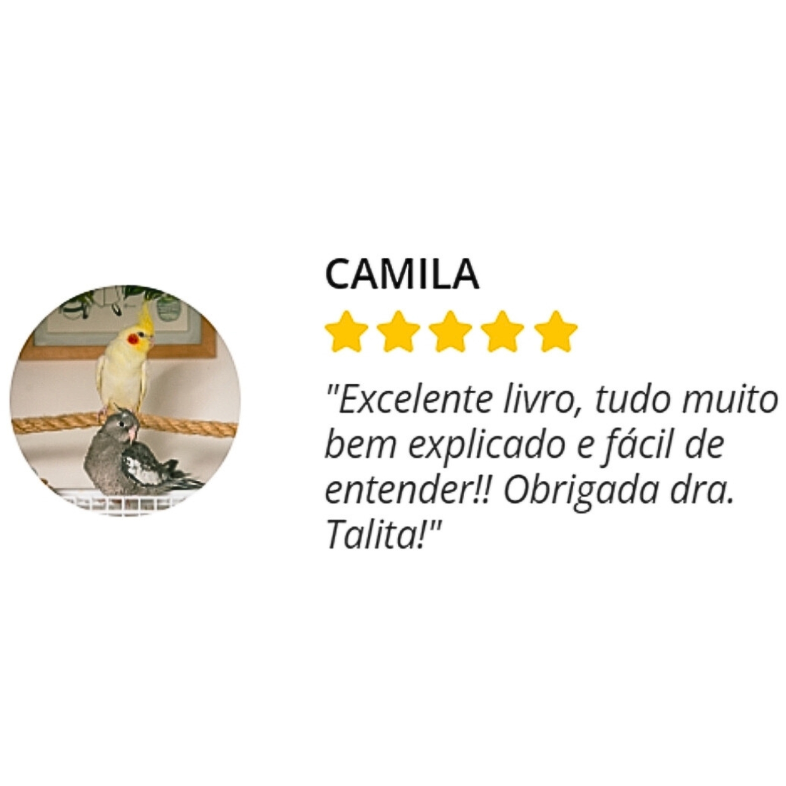 Design sem nome (11)