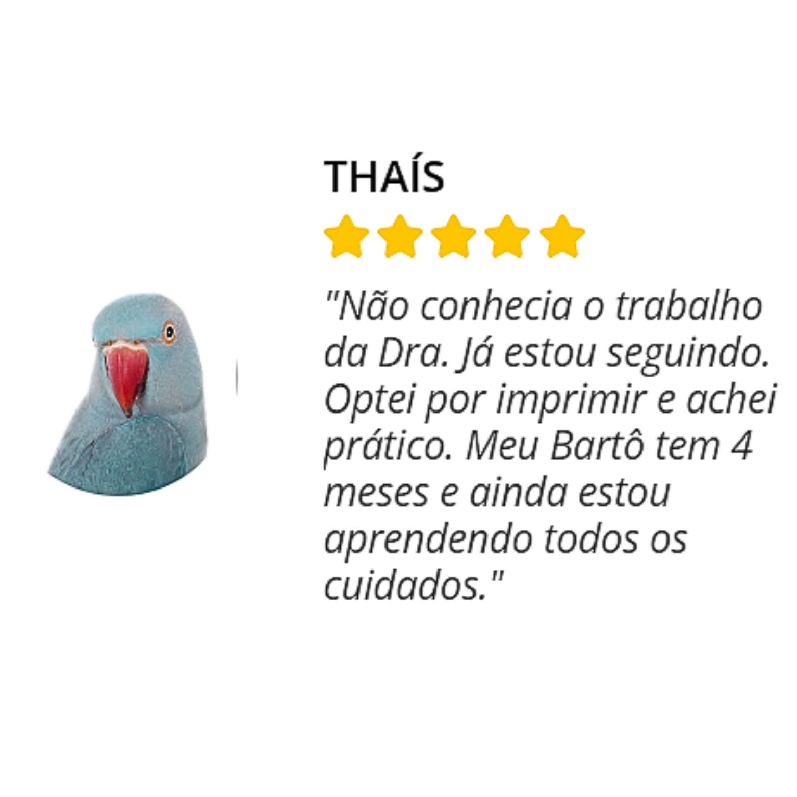 Design sem nome (12)